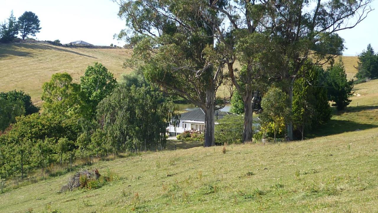 Tasman Farmstay Retreat Glenmhor Buitenkant foto