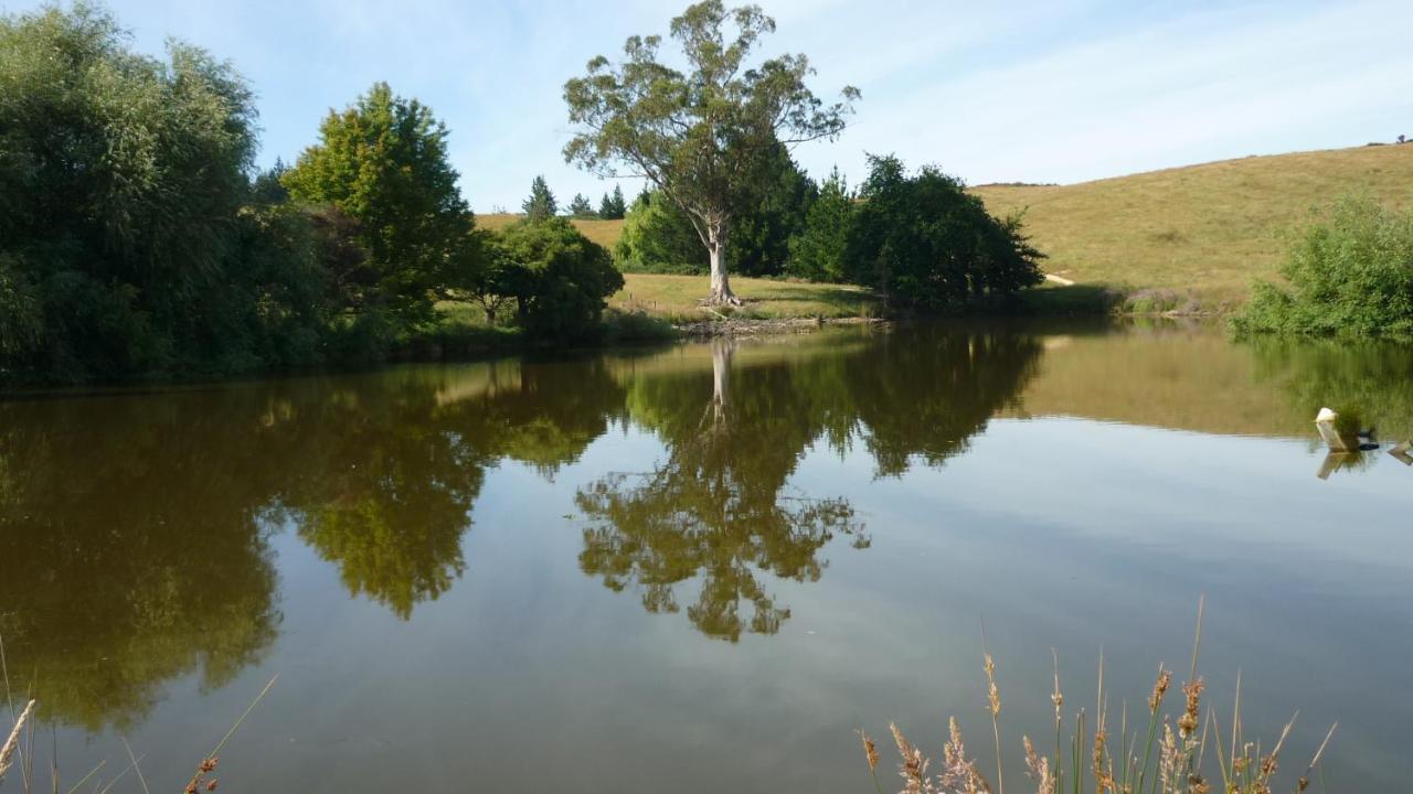 Tasman Farmstay Retreat Glenmhor Buitenkant foto