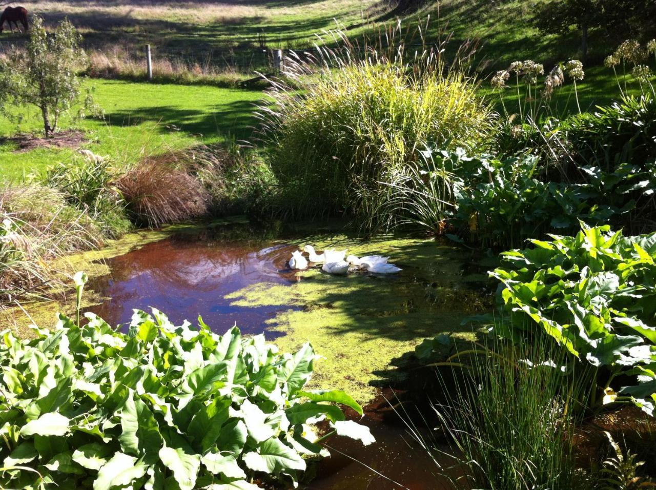 Tasman Farmstay Retreat Glenmhor Buitenkant foto