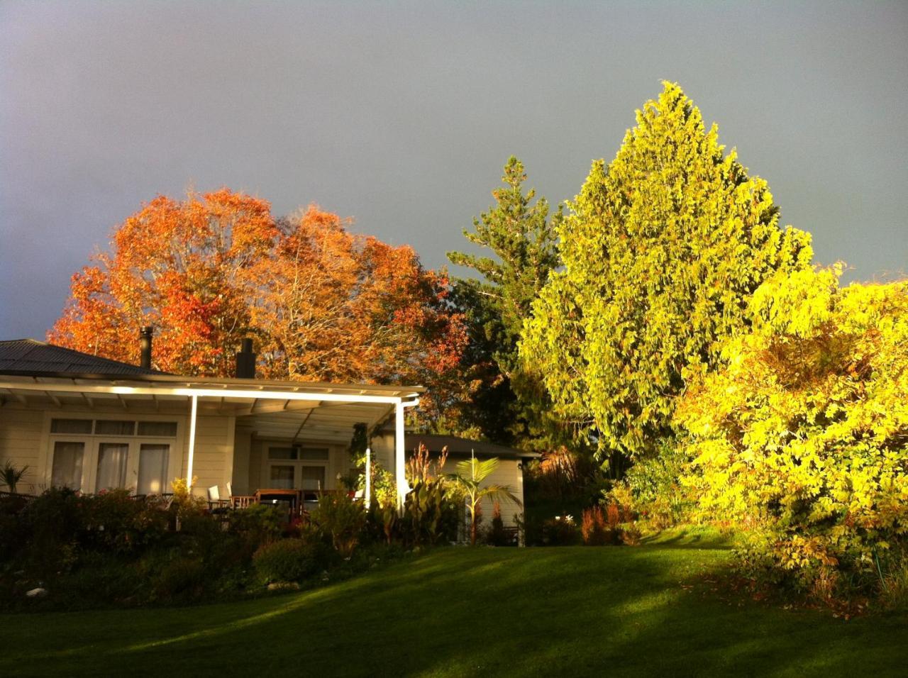 Tasman Farmstay Retreat Glenmhor Buitenkant foto